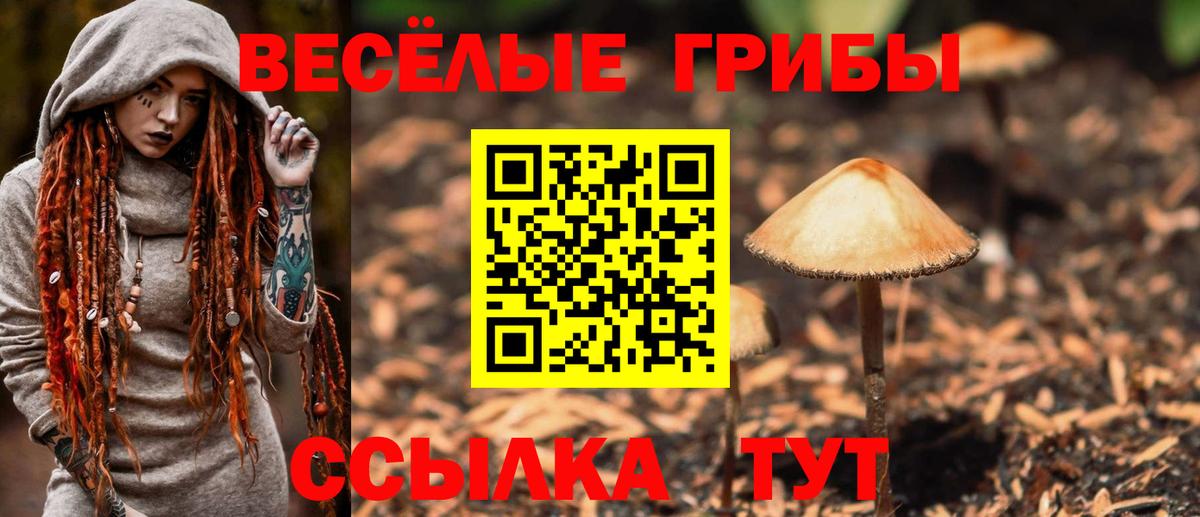 Добрянка  Псилоцибиновые грибы Psilocybe  Вход с VPN 
